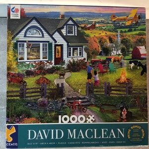 Ceaco Puzzle; The Fly By; art by David Maclean; 1000 pcs
